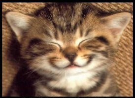 cat-smiling