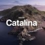 Catalina10.15.1にアップデートしたら不具合発生